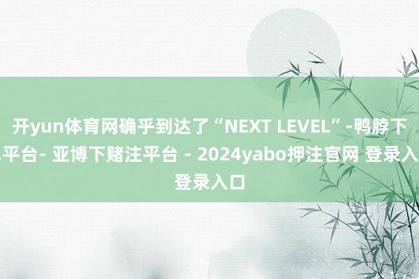 开yun体育网确乎到达了“NEXT LEVEL”-鸭脖下单平台- 亚博下赌注平台 - 2024yabo押注官网 登录入口