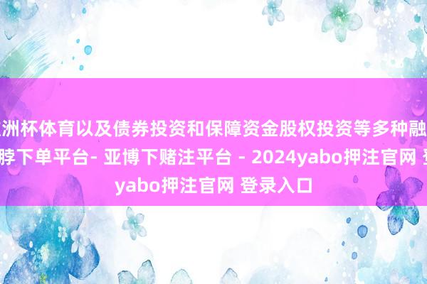 欧洲杯体育以及债券投资和保障资金股权投资等多种融资技艺-鸭脖下单平台- 亚博下赌注平台 - 2024yabo押注官网 登录入口