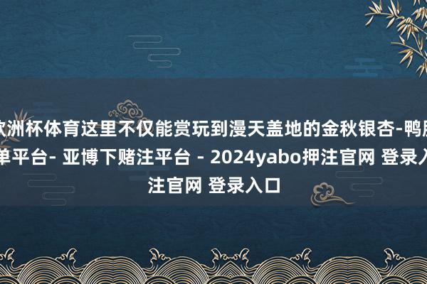 欧洲杯体育这里不仅能赏玩到漫天盖地的金秋银杏-鸭脖下单平台- 亚博下赌注平台 - 2024yabo押注官网 登录入口