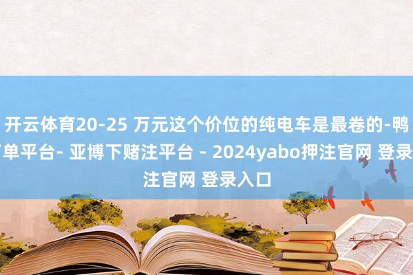 开云体育20-25 万元这个价位的纯电车是最卷的-鸭脖下单平台- 亚博下赌注平台 - 2024yabo押注官网 登录入口