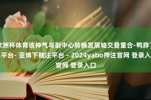 欧洲杯体育该神气与副中心转换发展轴交叠重合-鸭脖下单平台- 亚博下赌注平台 - 2024yabo押注官网 登录入口