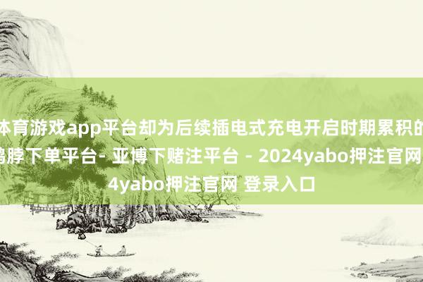 体育游戏app平台却为后续插电式充电开启时期累积的第一步-鸭脖下单平台- 亚博下赌注平台 - 2024yabo押注官网 登录入口